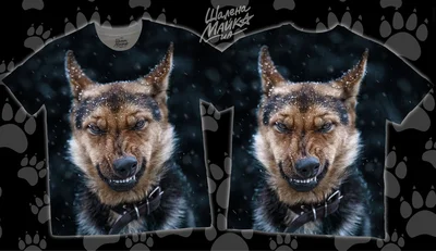 Футболки с полной запечаткой: собака копия